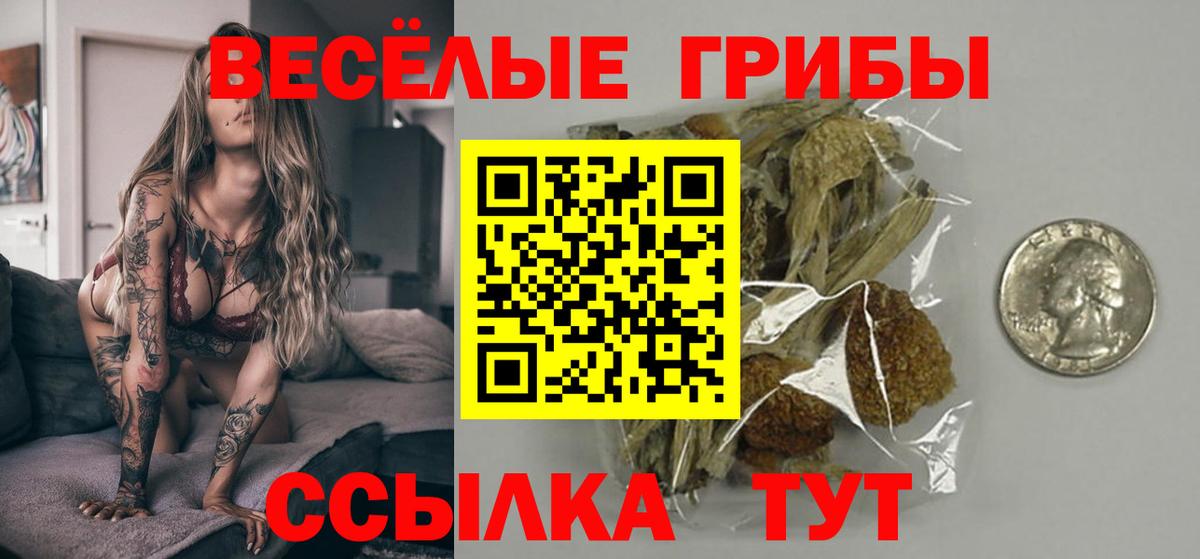 Псилоцибиновые грибы Magic Shrooms  закладка  Вход с VPN  Грозный  Галлюциногенные грибы мицелий 
