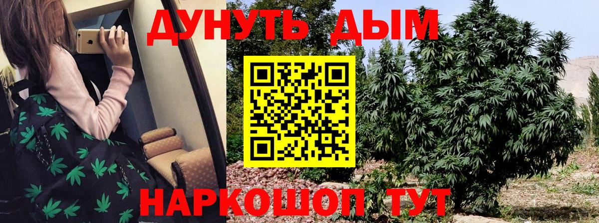 Грозный  Канабис SATIVA & INDICA  Вход с VPN  Канабис SATIVA & INDICA 